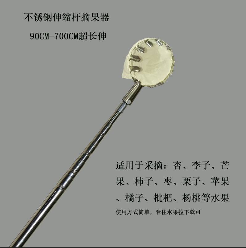 香椿杆子自制视频教程下载(香椿树根自制根雕茶台制作过程)